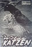 Kinoprogramm: Wilde Katzen (Neues Film-Programm Wien (NFP) 1956-) - 1960/09 - mge-shop