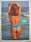 Werbeplakat: Palmers (Palmers) - mge-shop